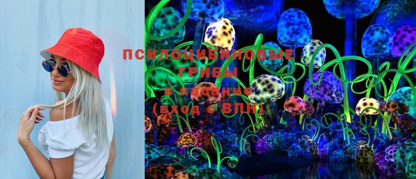 прущие крисы Инта