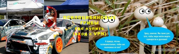 прущие крисы Инта