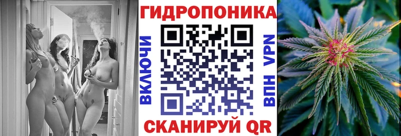 Бошки Шишки ГИДРОПОН  Купить где  Сосенский 
